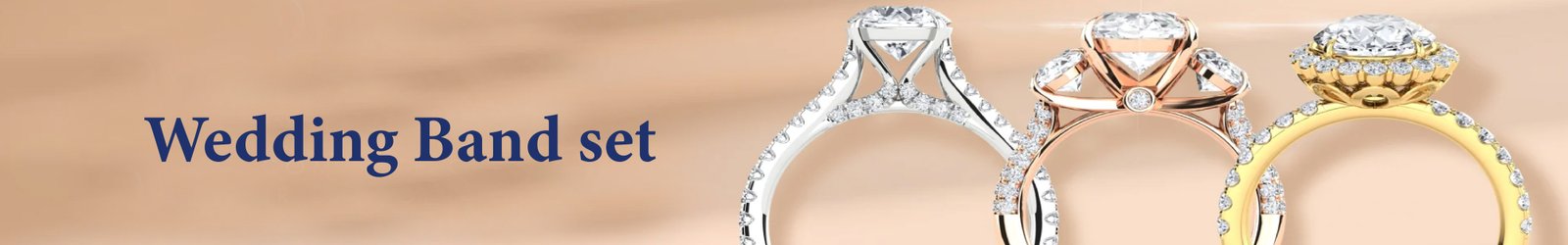 collection-banner